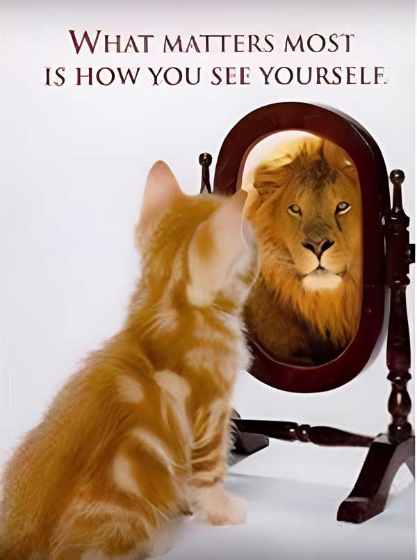Кот смотрит в зеркало, видит льва
